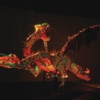 Photo by Kevin Rolly