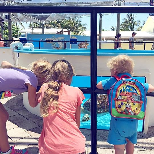 Visiting Loggerhead Marinelife Center 
