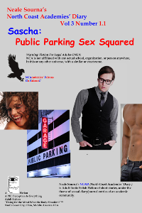ncadv3n11_sascha: public parking, sex squared [pdf]