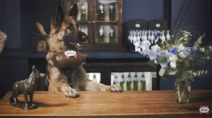 Dog bartenders