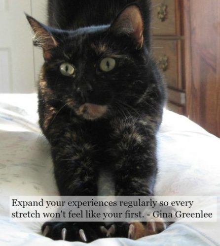 purrs-of-wisdom