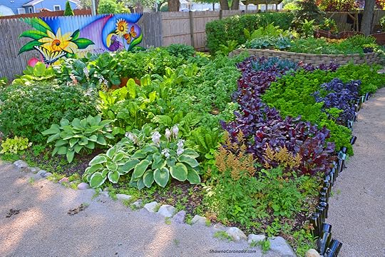 How to Design a Wavy Garden Bed with Path © copyright Shawna Co