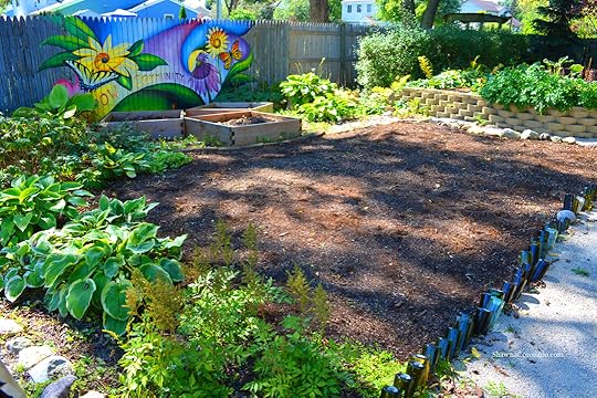 Eco Lawn Experiment Soil