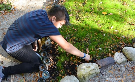 Eco Lawn Grass with Jung Seed Bulbs