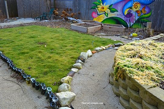 Eco Lawn Winter Green