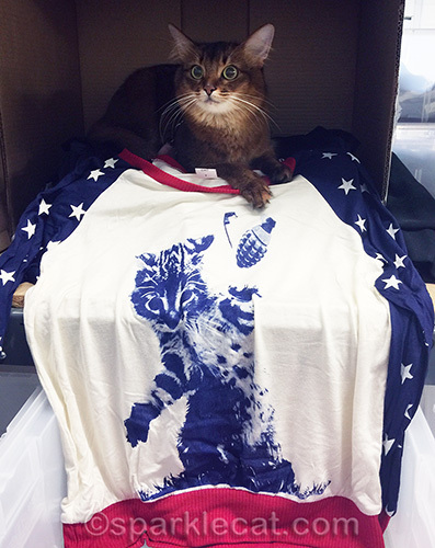 somali cat posing with Arm The Animals T-shirt