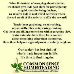 common-sense-homesteading