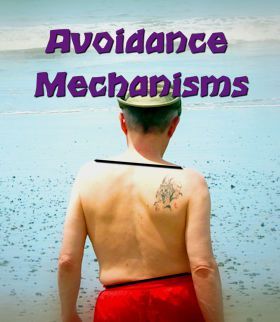 avoidance mechanisms