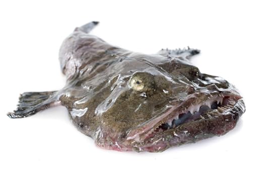monkfish
