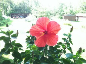 nding page #3 photo copy 2