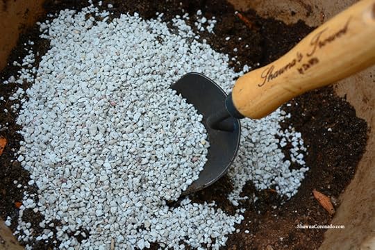 Succulent Pumice for Container Gardens