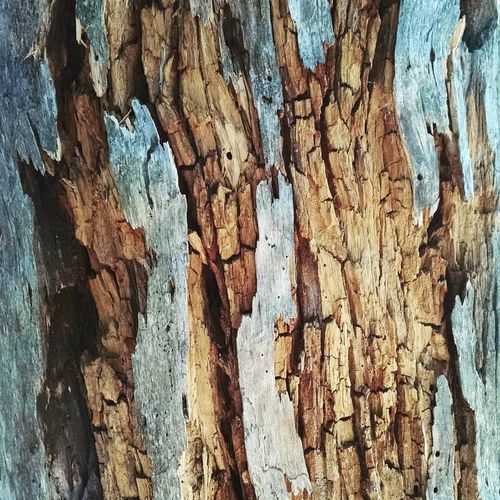 13221232_10153713943542684_1547751124573723056_o