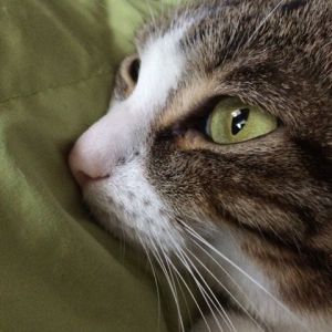 IMG_4278
