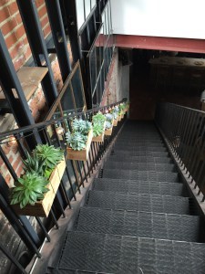 Stairs to Rosemary's Orto