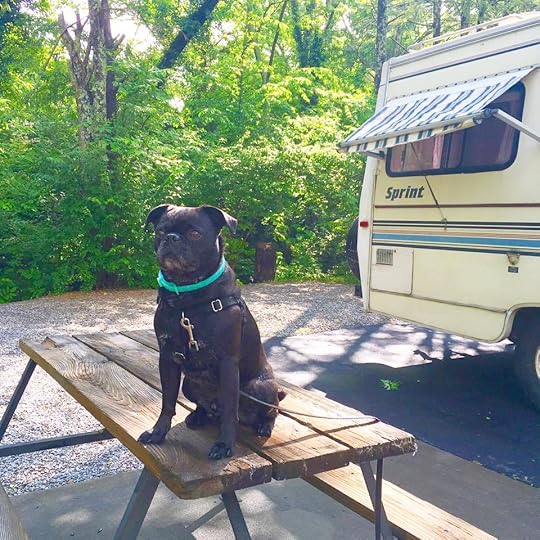 13254054_10154309488509739_7599284418680920829_n