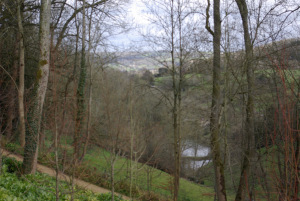 View from the main entrance