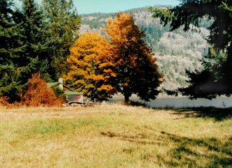 The cabin that sparked my imagination.