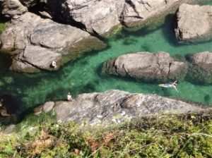 Web Bolt Head Salcombe (c) Jamie West