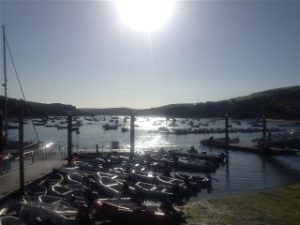 Web Salcombe