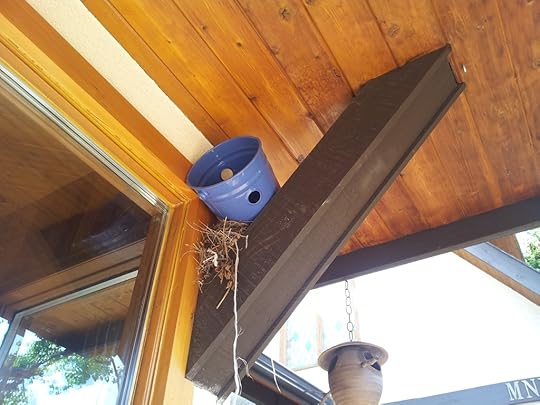  photo 20160514_135634_zpsf0yxiadk.jpg