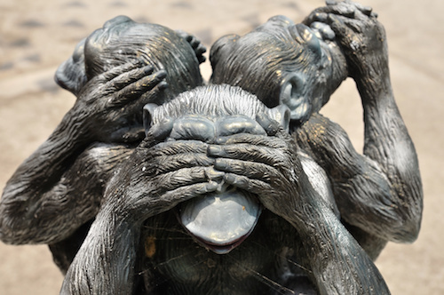 Monkeys in Denial.jpeg