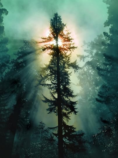 Evening Falling