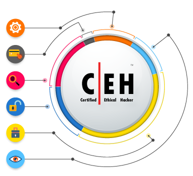 Certified Ethical Hacker qualification (https://www.eccouncil.org/)