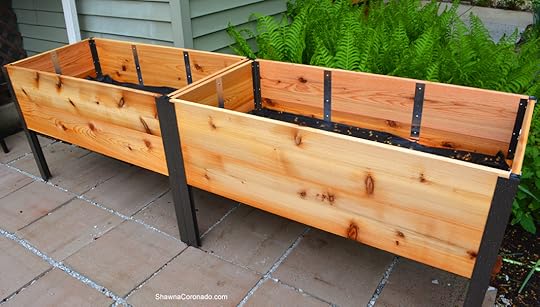 Elevated Planter Box in Garden without Plants