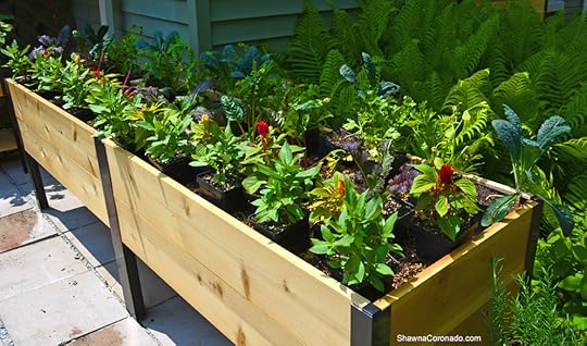 Elevated Planter Box in Garden with Plants