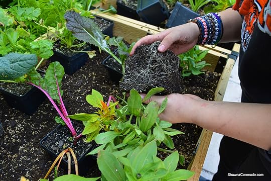 Elevated Garden Bed Planting Flowers and Vegetables