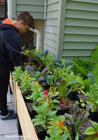 Elevated Garden Bed Planting