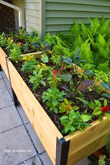 Elevated Garden Bed Flowers and Vegetables