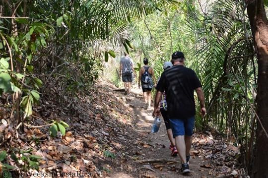 Samara Trails: Exploring the Tropical Dry Forest