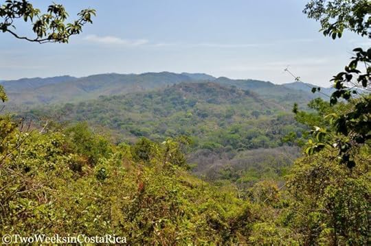 Samara Trails: Exploring the Tropical Dry Forest