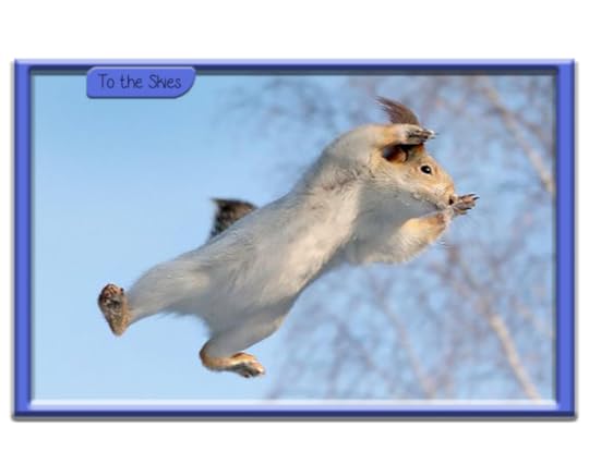 Flying Squirrels