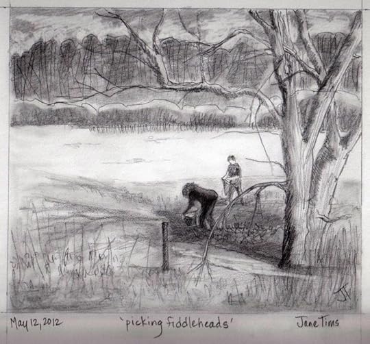 'picking fiddleheads'