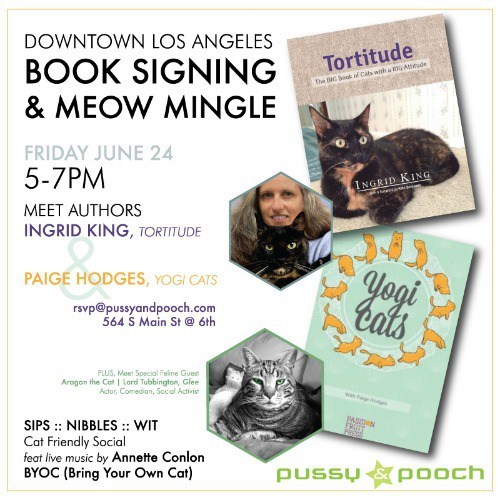 social-cat-book-signing 