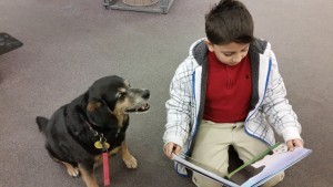 Read to a Dog” programs at public libraries motivate reluctant young readers. Courtesy of Montgomery (Maryland) County Public Libraries.