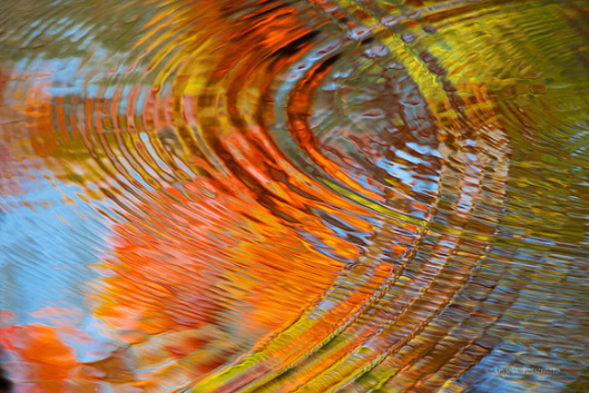 Ripples