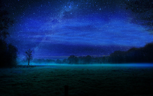 Starlit Refrain