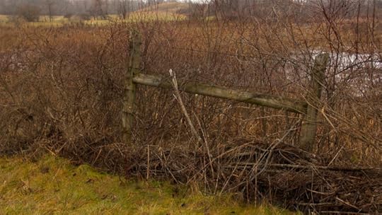 This thicket is full of hooks and crooks.