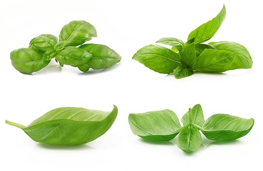 the story of basil and other herbs and spices