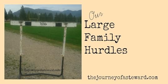 Our Large Family Hurdles by The Journey of a Steward