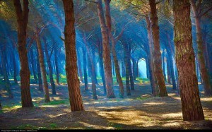 Photo by Moyan Brenn