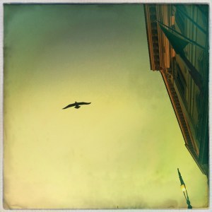 Photo by Nick Kenrick