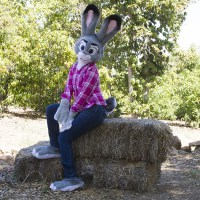 judy farm pic