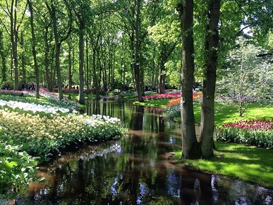 A surreal scene at Keukenhof.