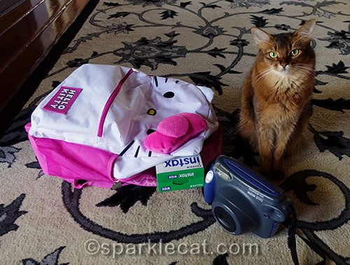 somali cat posing with Hello Kitty backpack and instant camera