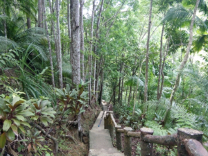 Mag-Aso Falls Review - Walk In - Survive Travel