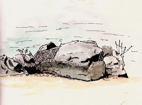 Stillman & Birn Gamma (8x5), Platinum 3776, Platinum Carbon Black